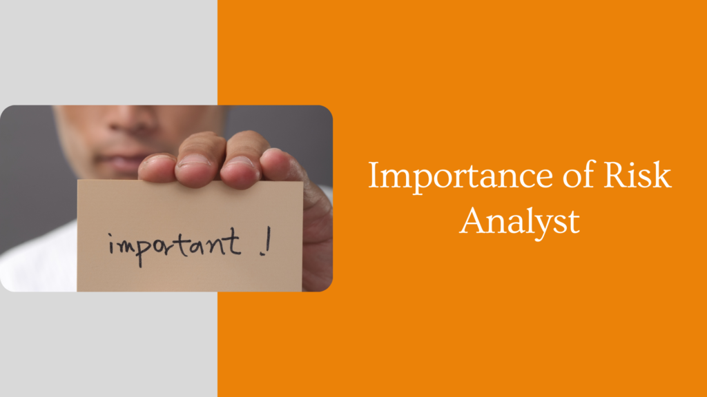 Importance of Risk Analyst