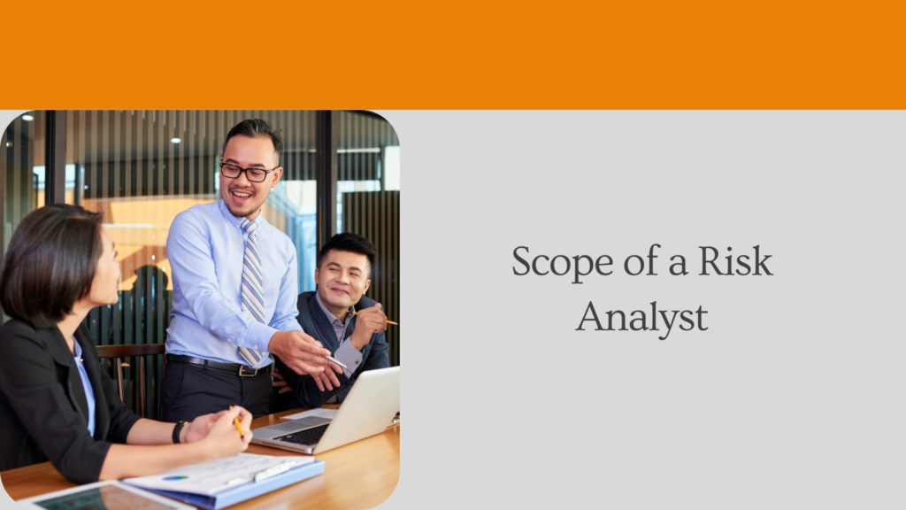 Scope of a Risk Analyst