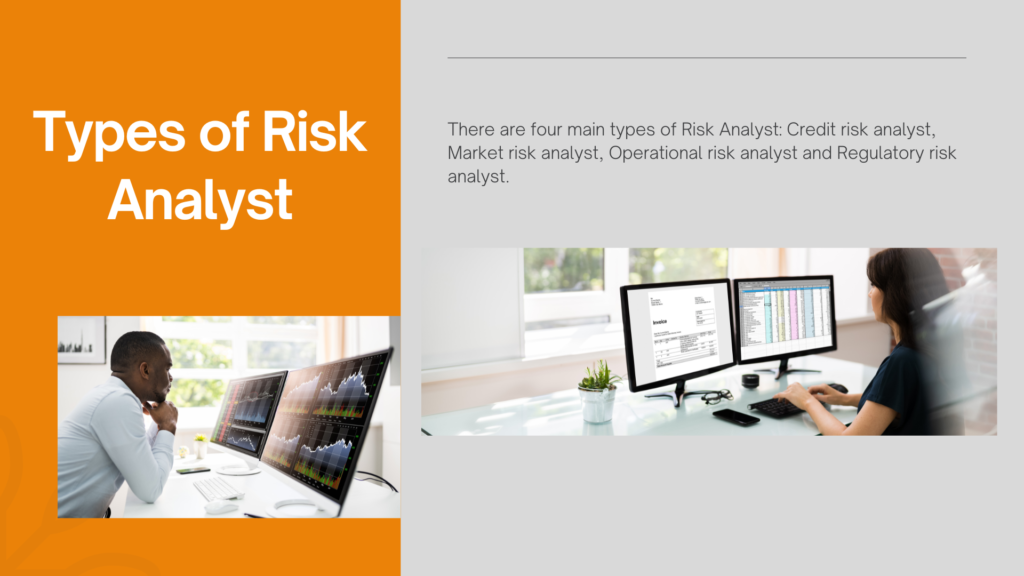 Types of Risk Analyst
