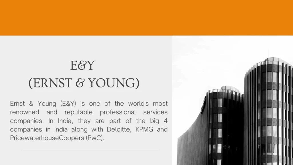 E&Y (ERNST & YOUNG)