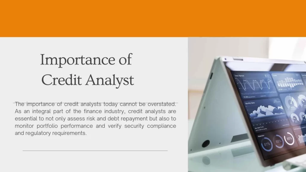 Importance of Credit Analyst