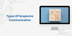 Types Of Grapevine Communication