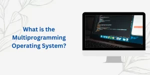 What is the Multiprogramming Operating System?