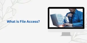 What is File Access?