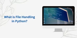 What is File Handling in Python?