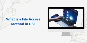 What is a File Access Method in OS?