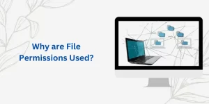 Why are File Permissions Used?