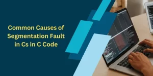 Common Causes of Segmentation Fault in Cs in C Code