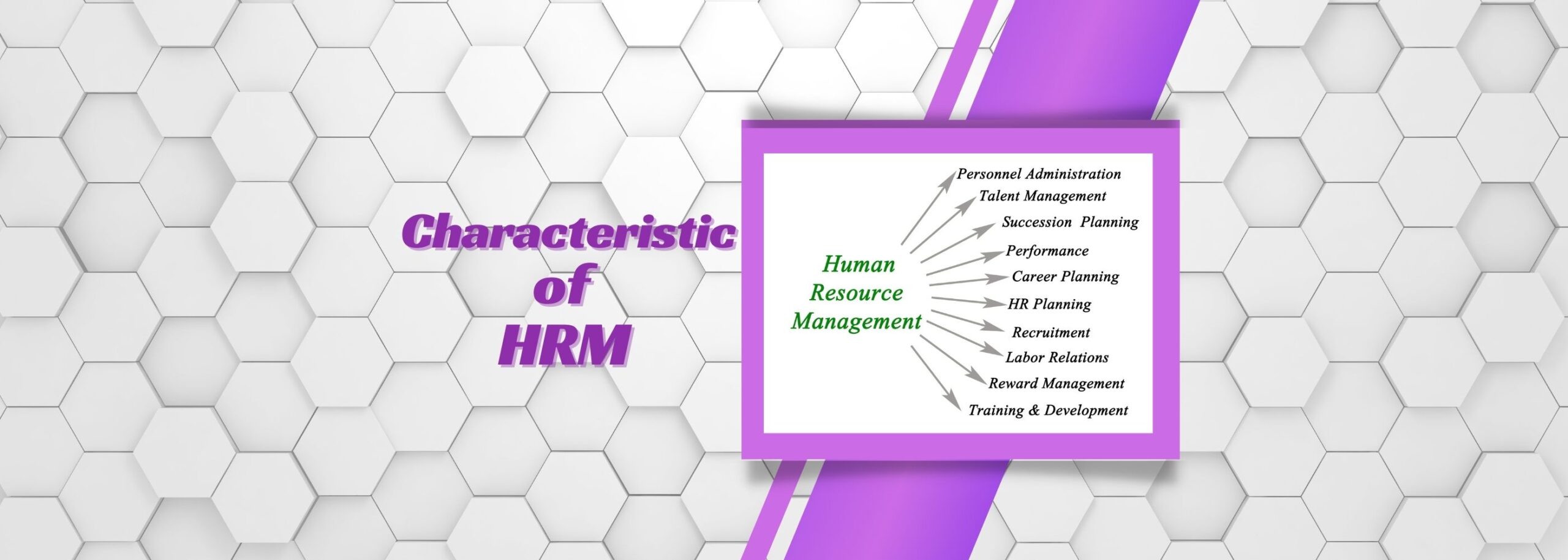 characteristic of hrm