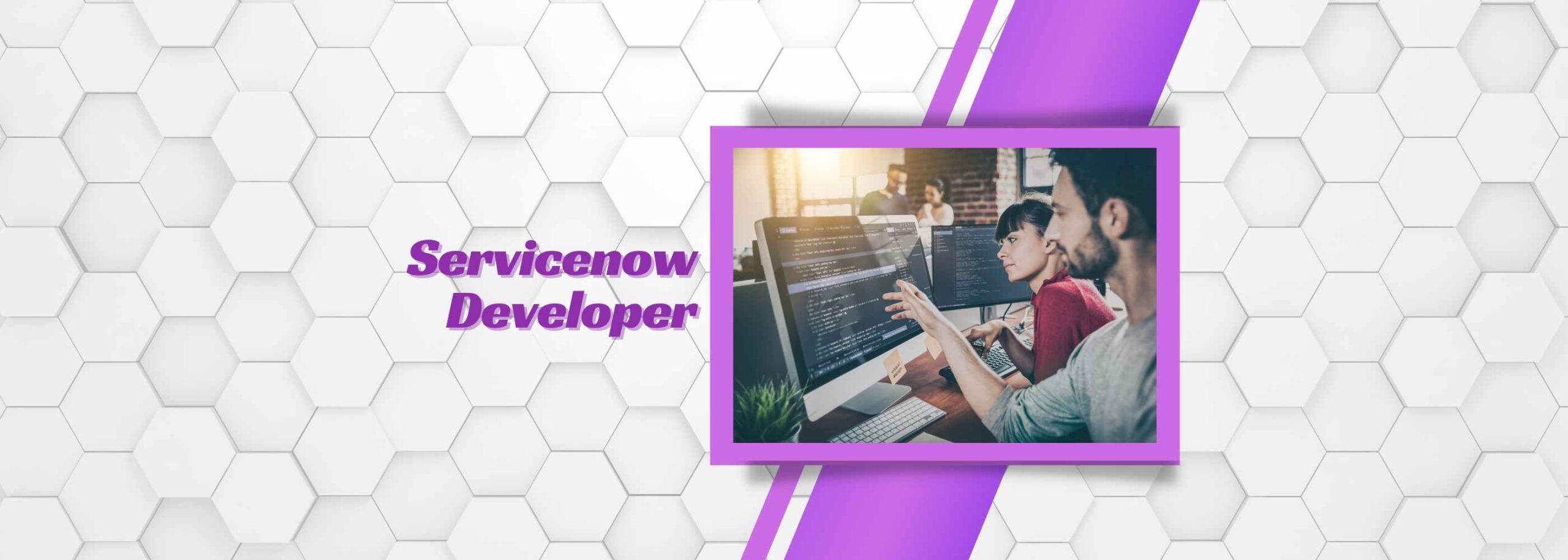 ServiceNow Developers