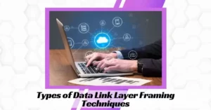 Types of Data Link Layer Framing Techniques