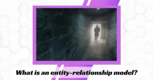 What is an entity-relationship model