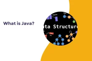 Data Structures in Java : All You Need To Know