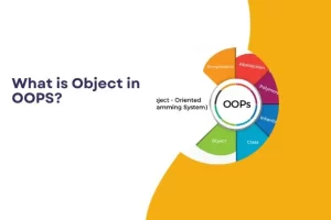 What is Object in OOPS :  All You Need To Know