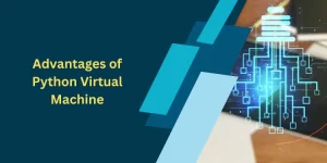 Advantages of Python Virtual Machine