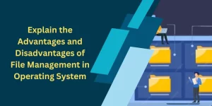 Explain the Advantages and Disadvantages of File Management in Operating System