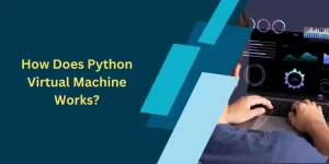 How Does Python Virtual Machine Works?
