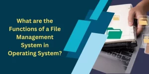 What are the Functions of a File Management System in Operating System?