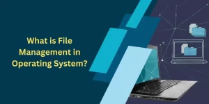 What is File Management in Operating System?