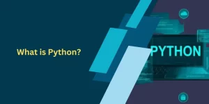 What is Python?