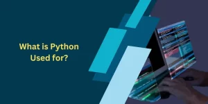 What is Python Used for?