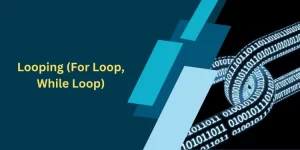 Looping (For Loop, While Loop)